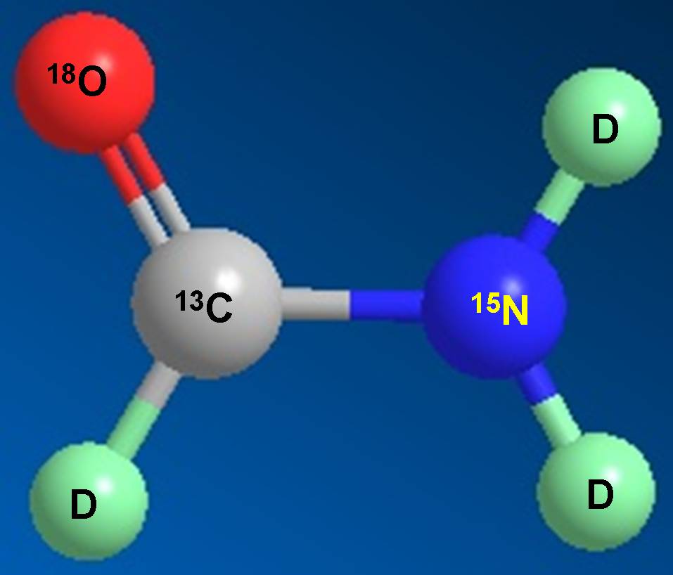 HJC黄金城平台科研人员受邀担任同位素技术交流培训会讲师