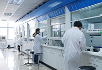 11月1日，HJC黄金城平台生物部和化学部开展年底促销活动