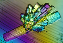 PD-1抑制剂成“抗癌神器”，国内外企业进展如何？