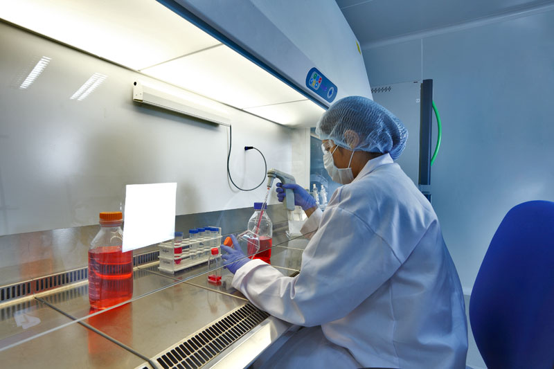 2015年度中国药品批准盘点：化药不批准率超20%，中药上市数量翻3倍