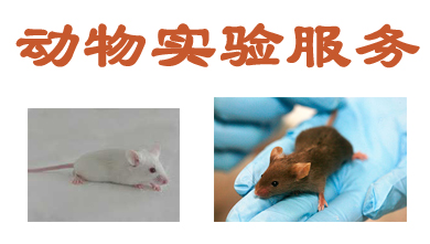 HJC黄金城平台动物实验外包服务