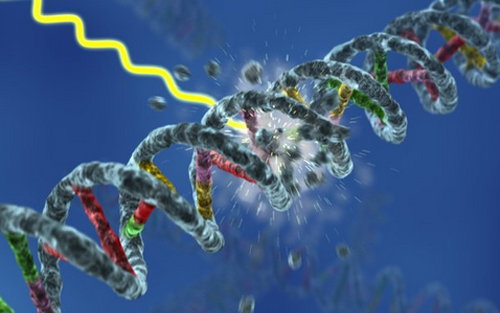 Nature：癌症治疗发现新靶点