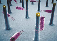 未来的药丸里，可能有一万亿个人工改造的细菌？