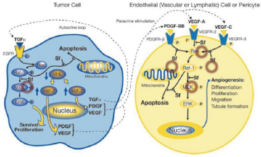 多靶点药物：创新药物设计的重要思路
