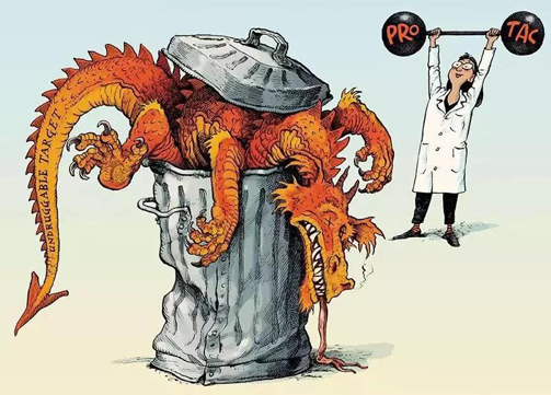 聚焦PROTAC：Make“Undruggable”TargetsDrugable