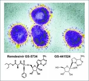 基于细胞因子风暴和免疫炎症反应综合征，很多免疫相关靶点也可以列为冠状病毒的靶点。