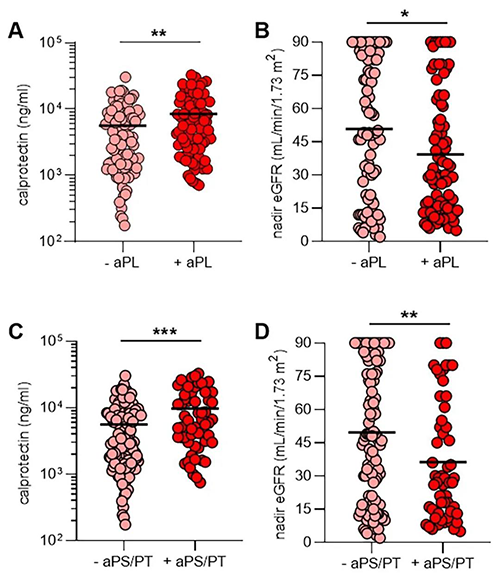 aPL抗体、NET释放和肾功能
