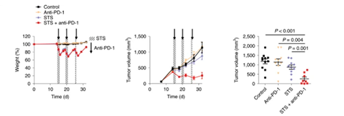 与对照组及仅使用PD-1疗法的模型小鼠对比，采用短期饥饿配合PD-1疗法的393P细胞同源移植肿瘤小鼠体内的肿瘤体积有了明显的收缩。