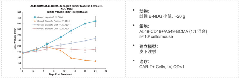 CAR-T细胞杀伤实验显示CAR-T细胞依赖性杀伤较Mock-T细胞增加.jpg