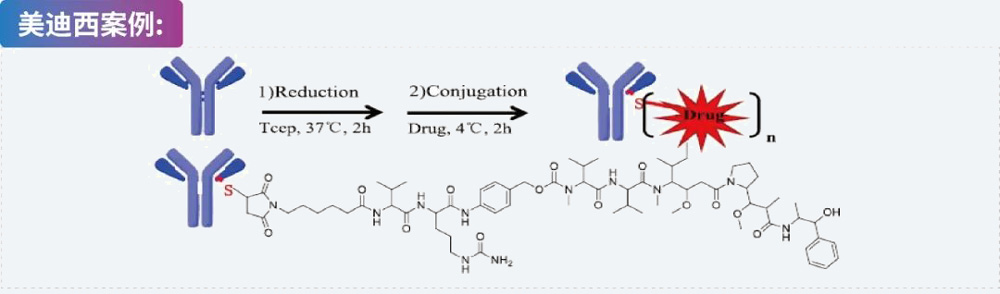 基于半胱氨酸的ADC偶联