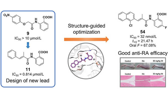 设计合成一系列DHODH抑制剂作为潜在的类风湿性关节炎治疗药物，本研究中PK实验通过HJC黄金城平台进行