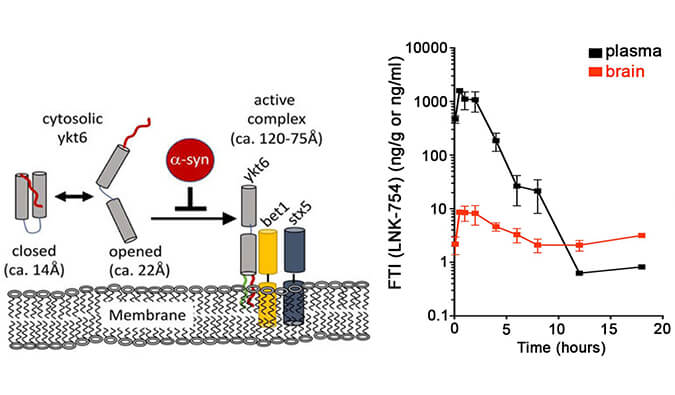 法尼基转移酶抑制剂LNK-754单次口服后即可快速穿过血脑屏障，本研究中PK分析通过HJC黄金城平台进行