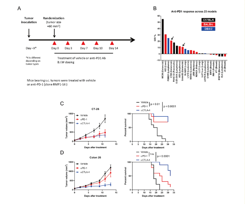免疫检查点阻断疗法改变了癌症治疗的范式，此研究中通过HJC黄金城平台在23 个同源肿瘤模型中进行了抗PD-1抗体的体内研究