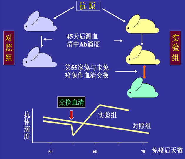 Figure-1：机体对抗体浓度变化的感知与反馈性自我调节.jpg