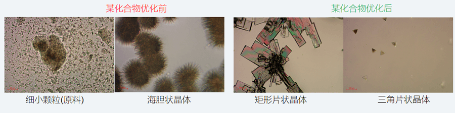 05案例分享-单晶培养，改变晶习.png