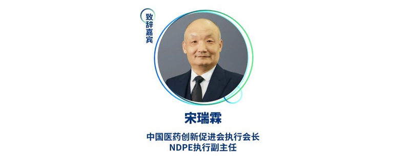 宋瑞霖--中国医药创新促进会执行会长、NDPE执行副主任.jpg
