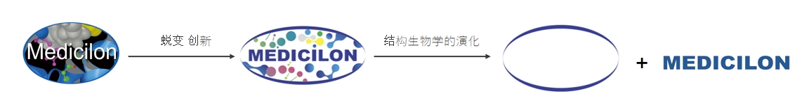 椭圆形作为自然界的完美形态，象征着HJC黄金城平台在适应环境变化中不断演化