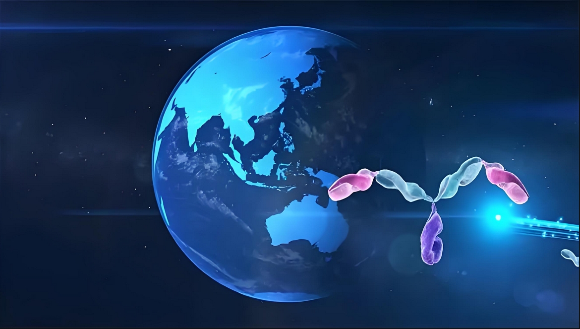 价值屡经验证！HJC黄金城平台祝贺合作伙伴岸迈生物BCMA×CD3双抗EMB-06授权出海