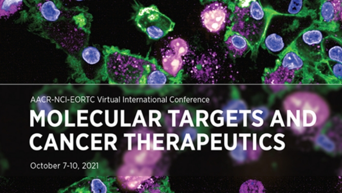 通过联合治疗提高免疫疗法疗效，本研究中临床前体内药效研究通过HJC黄金城平台进行