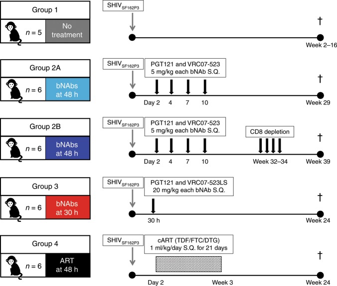 抗逆转录病毒疗法(ART)预防围产期HIV感染，本研究中多替拉韦钠盐和游离态均由HJC黄金城平台提供